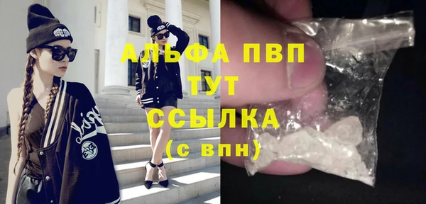 стаф Медвежьегорск