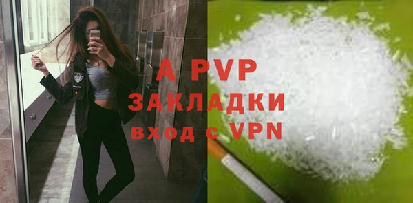 стаф Медвежьегорск