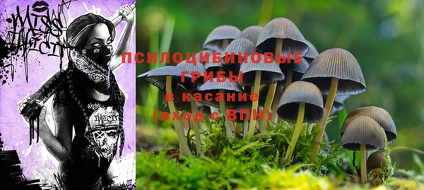 прущая мука Медногорск