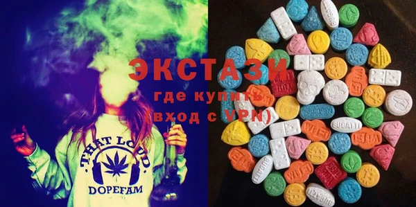прущие грибы Апатиты