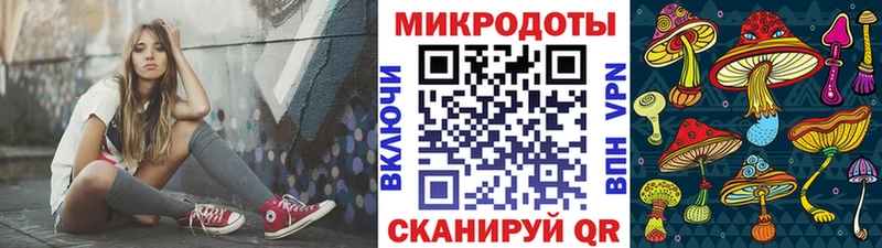 Псилоцибиновые грибы Cubensis  Ефремов 