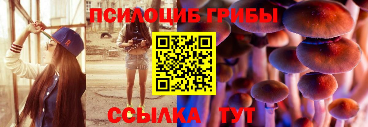 Псилоцибиновые грибы мухоморы  Вход с VPN  Ефремов  Галлюциногенные грибы GOLDEN TEACHER 